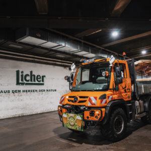 Halle-Licher