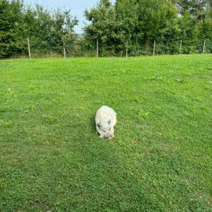 WhatsApp-Image-2025-03-13-at-10.50.31-1